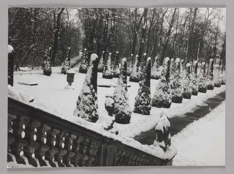 Fragment Ogrodu Barokowego przy pałacu w Wilanowie zimą