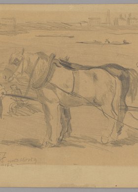 Piaskarze nad Wisłą