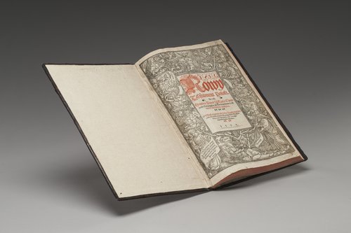 Nowy Testament Polski (Biblia Leopolity)