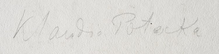 Portret Klaudyny Potockiej z Działyńskich