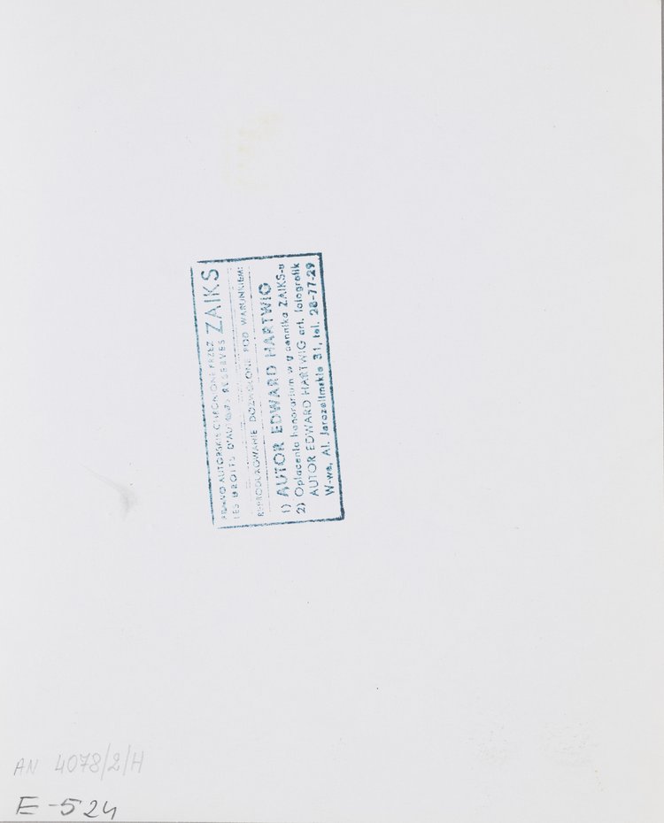 Ogród Saski in winter, view of the Water Tower