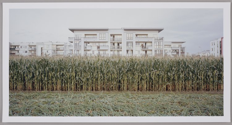 Bez tytułu, z cyklu "Nowa Warszawa"