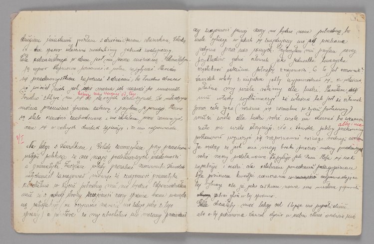 Zeszyt Miriam Gerblich, praktykantki w Domu Sierot z wpisami Stefanii Wilczyńskiej