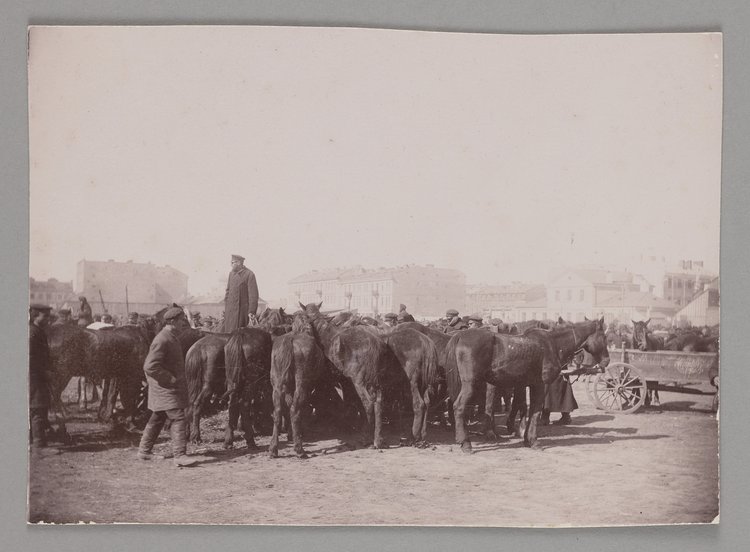 Targ koński na Pradze