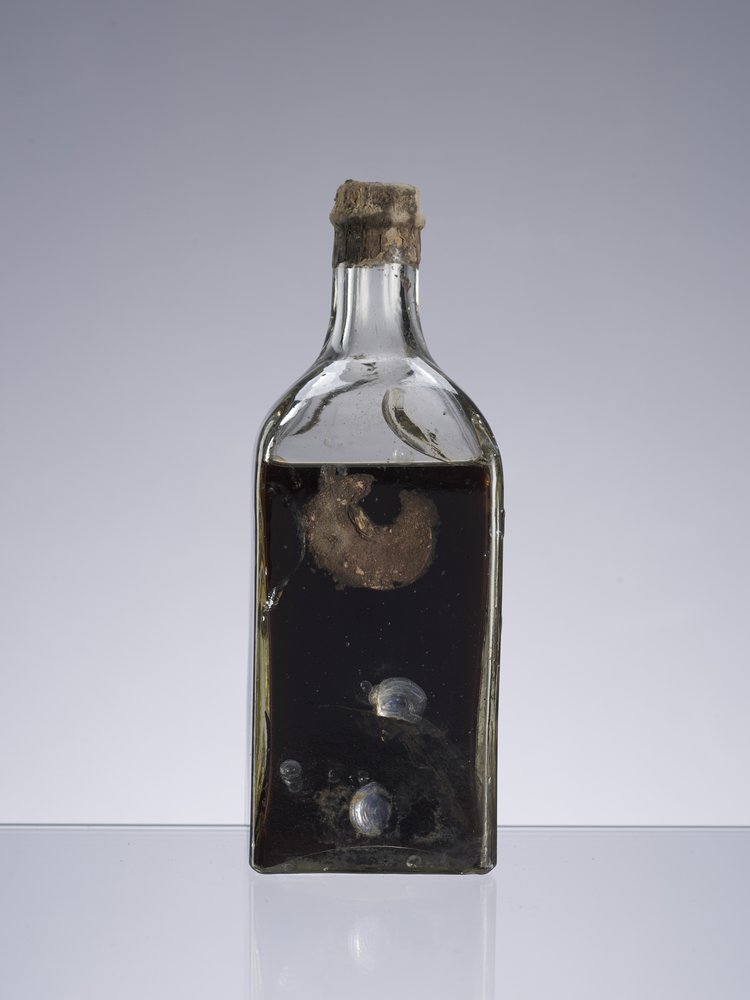 Butelka Towarzystwa Szustow