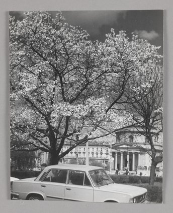 Plac Trzech Krzyży wiosną