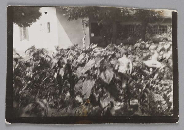 Fotografia przedstawiająca ogród przedszkolaków w Różyczce, filii Domu Sierot (Gocławek)