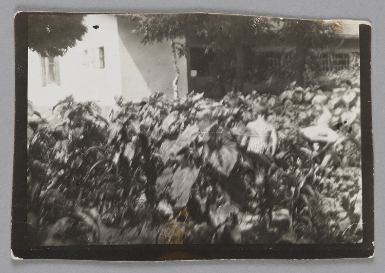 Fotografia przedstawiająca ogród przedszkolaków w Różyczce, filii Domu Sierot (Gocławek)