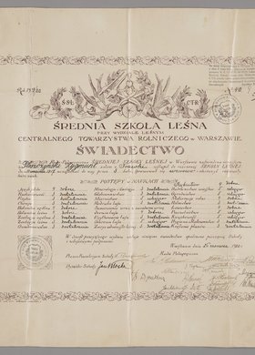 Świadectwo wystawione Zygmuntowi Pleszczyńskiemu