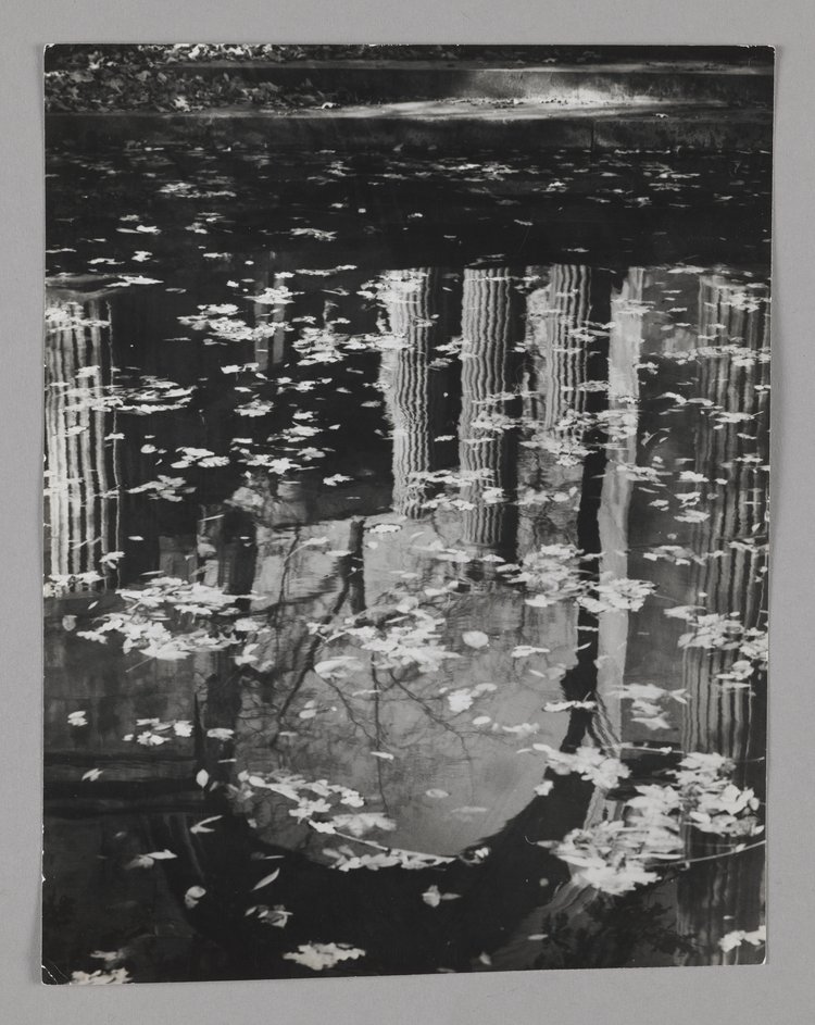 Amfiteatr w Łazienkach Królewskich, odbicie w wodzie