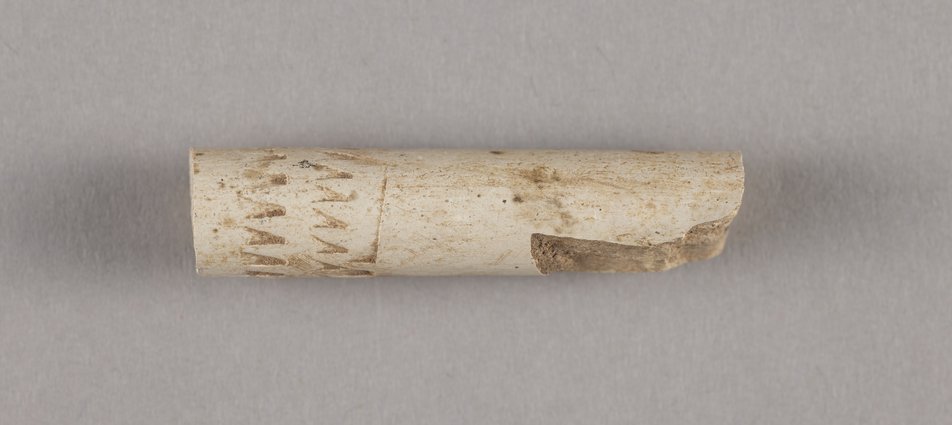 Fajka jednorodna - cybuch