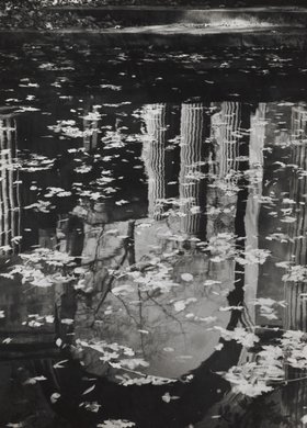 The Amphitheatre in the Łazienki Królewskie, reflection in water