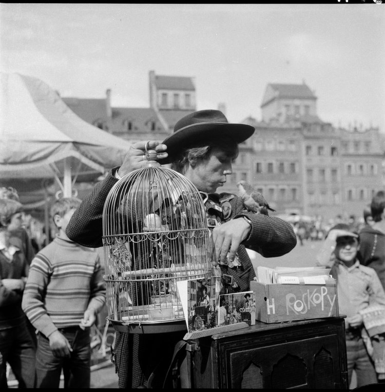 Kataryniarz i jego katarynka na Rynku Starego Miasta