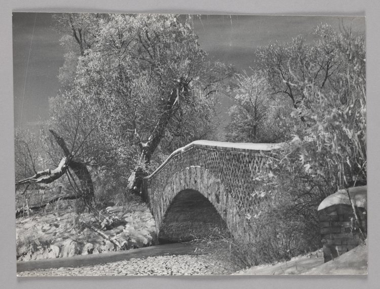 Most Rzymski w parku Wilanowskim zimą