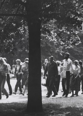 Fragment Ogrodu Saskiego