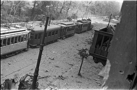 Unieruchomione tramwaje na ulicy Królewskiej