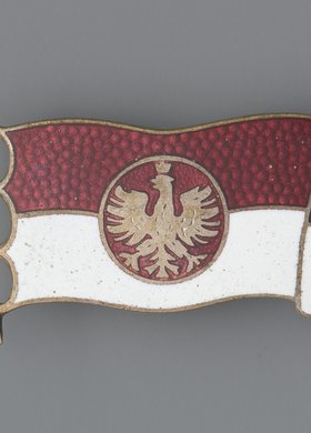Samarytanin Polski