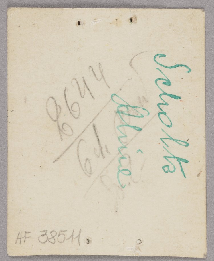 Fotografia legitymacyjna Aliny Scholtz