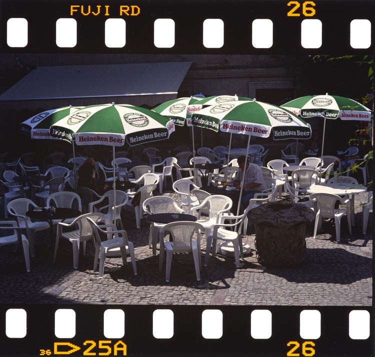 Ogródek kawiarni Lapidarium