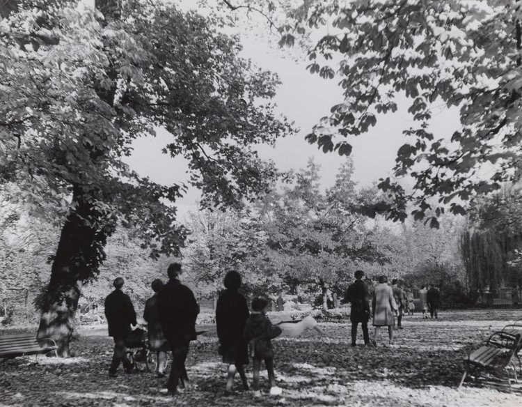 Part of Royal Baths Park in the fall
