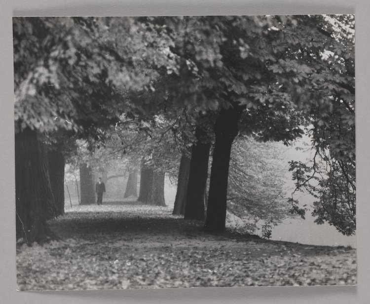 An alley in the gardens of the Łazienki Królewskie
