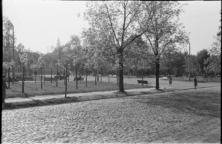 Centralny Park Kultury i Wypoczynku