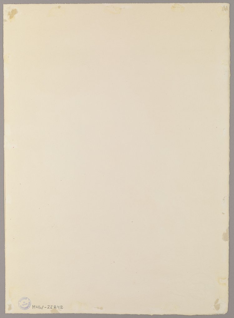 Łodygi. Warszawskie ogrody