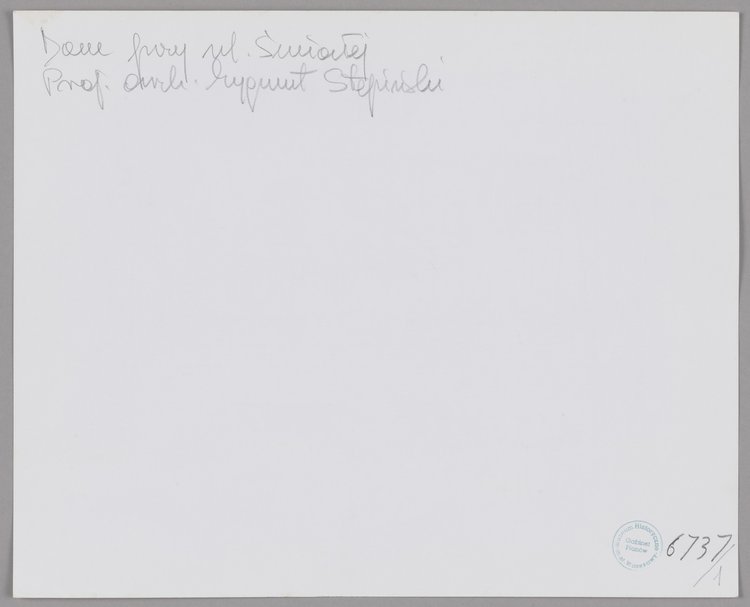 Dom dwurodzinny, ul. Śmiała 63a, widok perspektywiczny