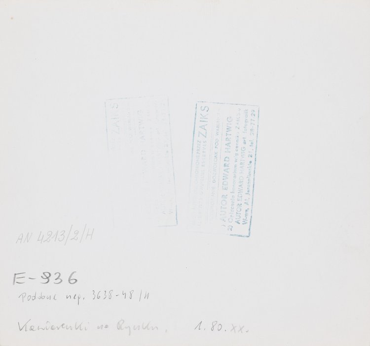 Old Town Market Square on a spring or summer afternoon