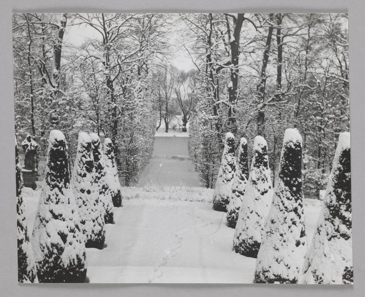 Fragment of the Baroque Garden by the Wilanów Palace in winter
