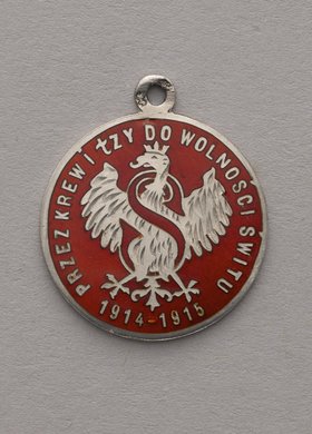 1. rocznica wybuchu I wojny światowej, 1914-1915