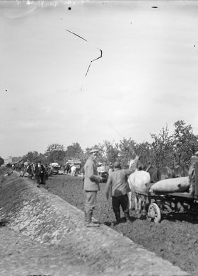 Wozy z dobytkiem na Wale Miedzeszyńskim