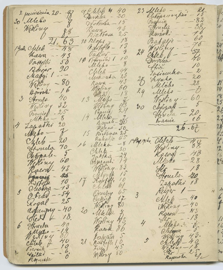 Drugi tom rękopisu pamiętnika Marii Jadwigi Strumff p.t. 'Badania życia i ludzi'