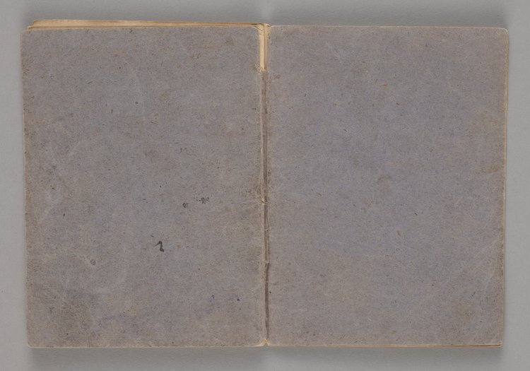 Dyplom Jana Nepomucena Sztanderskiego