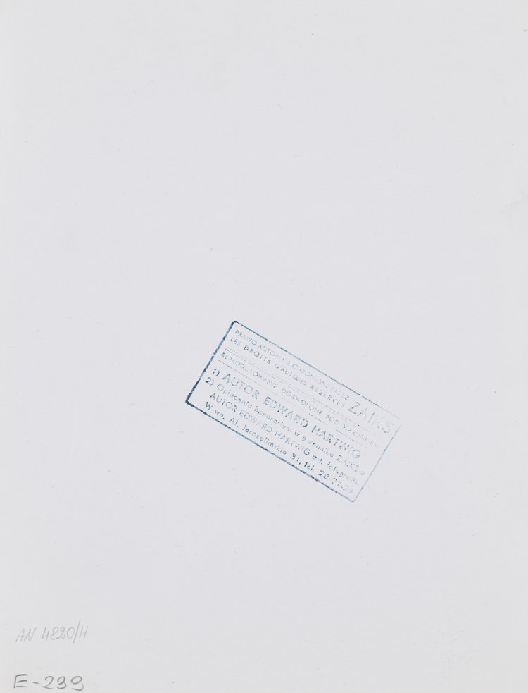 Fragment zabudowy Ściany Wschodniej