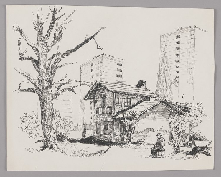 Pawiówka przy ulicy Bukowińskiej