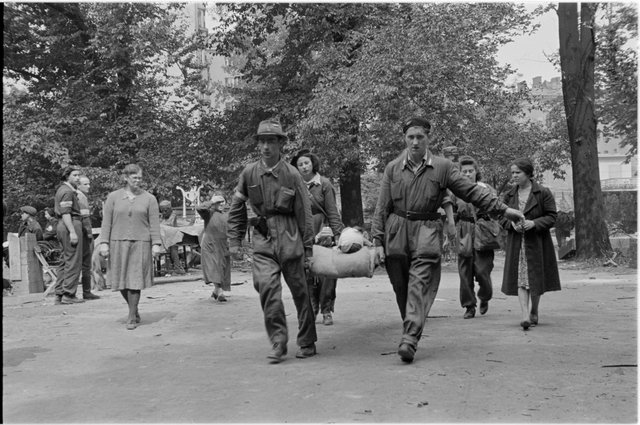 Transport rannego w ogrodzie przy ulicy Mazowieckiej 7