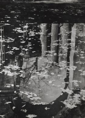 Amfiteatr w Łazienkach Królewskich, odbicie w wodzie