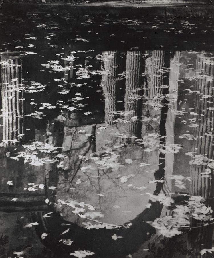 Amfiteatr w Łazienkach Królewskich, odbicie w wodzie