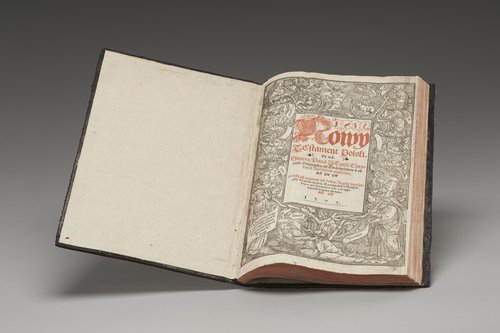 Nowy Testament Polski (Biblia Leopolity)