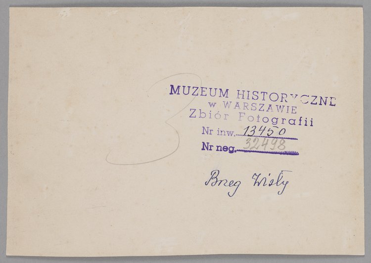 Pławienie koni w Wiśle