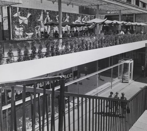 Taras kawiarni Zodiak