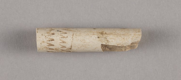 Fajka jednorodna - cybuch