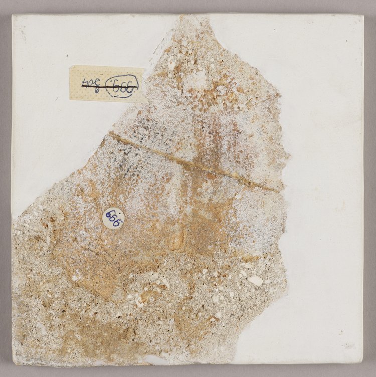 Fliza, płytka ścienna