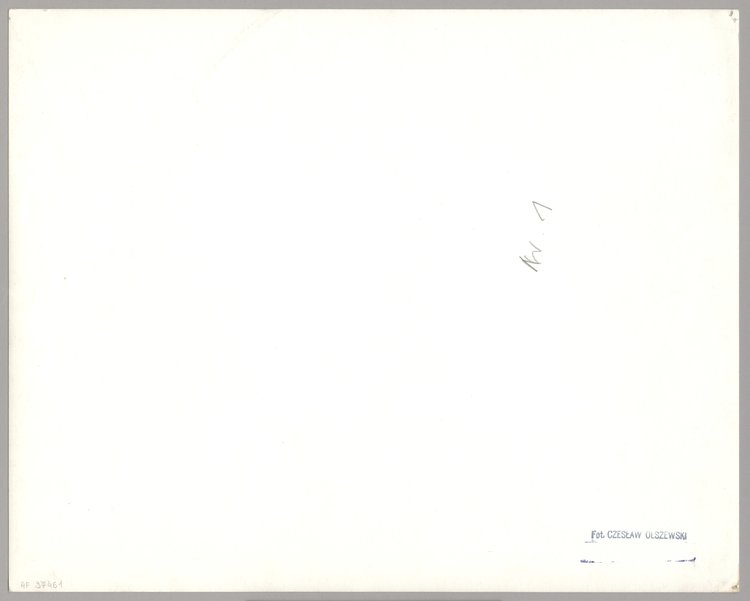 Staw i fragment parku w Łazienkach