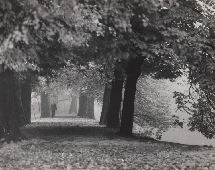An alley in the gardens of the Łazienki Królewskie