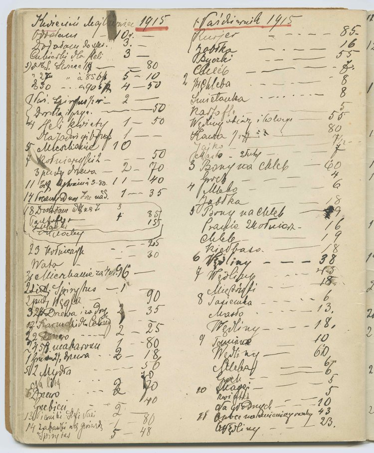 Drugi tom rękopisu pamiętnika Marii Jadwigi Strumff p.t. 'Badania życia i ludzi'