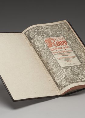 Nowy Testament Polski (Biblia Leopolity)