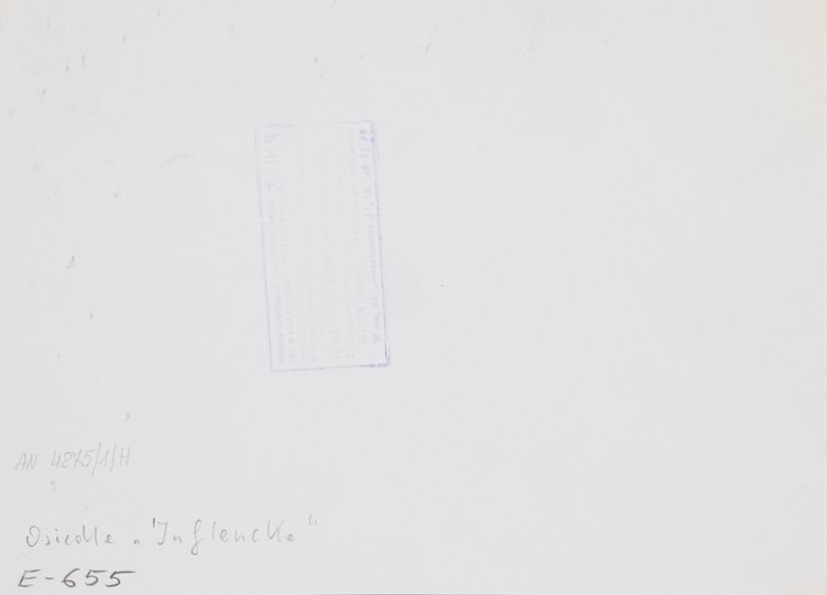 Inflancka housing estate in Muranów