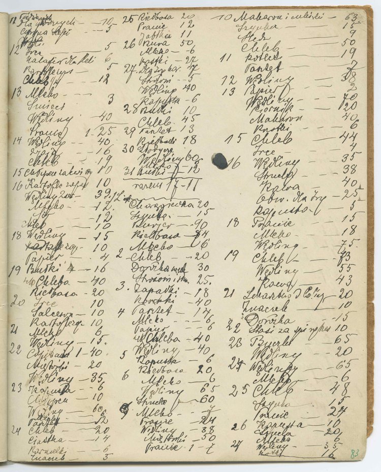 Drugi tom rękopisu pamiętnika Marii Jadwigi Strumff p.t. 'Badania życia i ludzi'